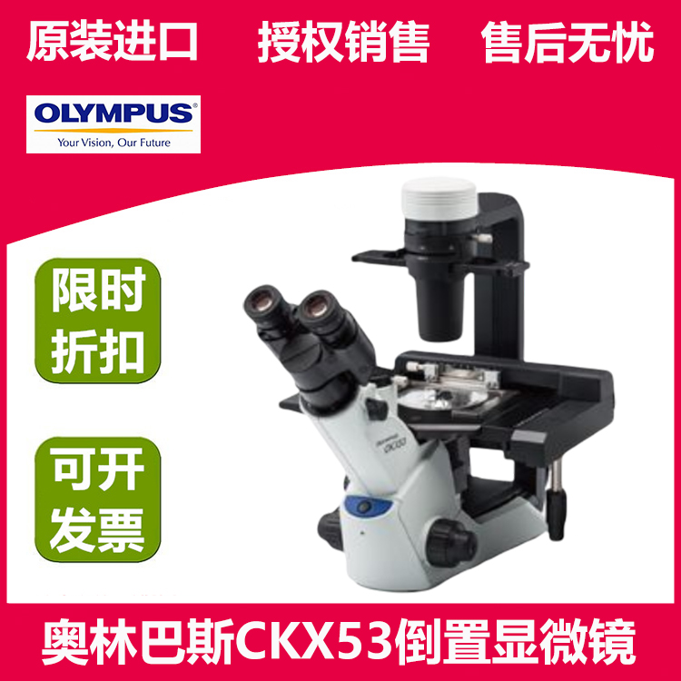 奥林巴斯倒置显微镜CKX53 细胞培养专用 LED光源