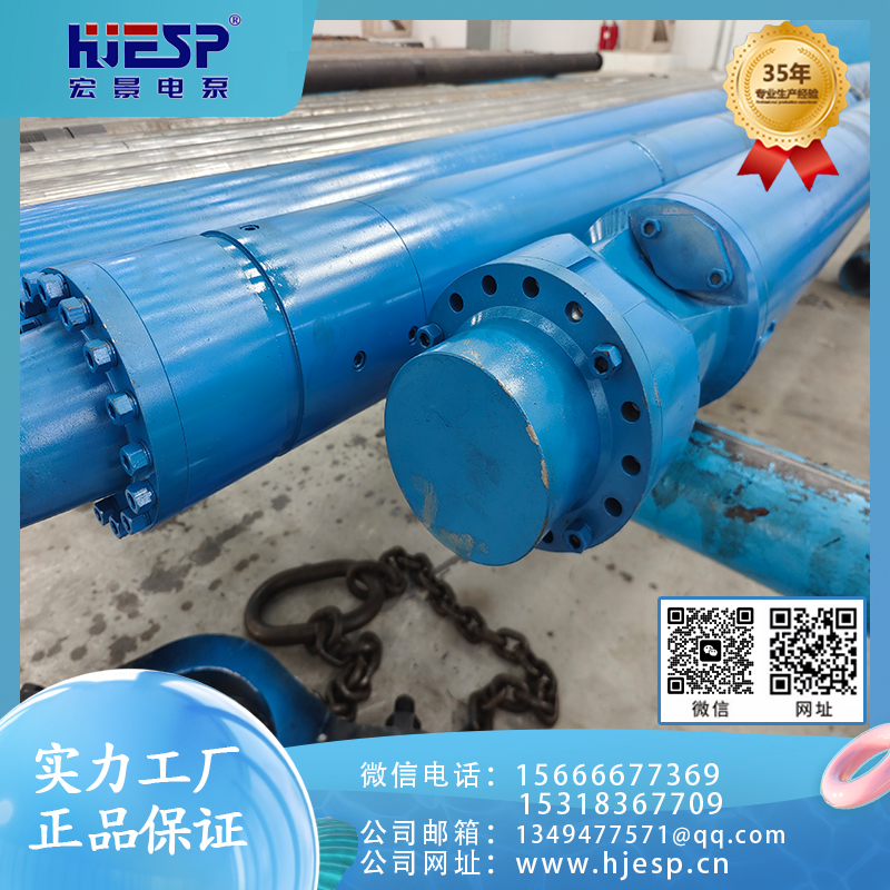 潜油永磁深井泵  欢迎询价 量大优惠