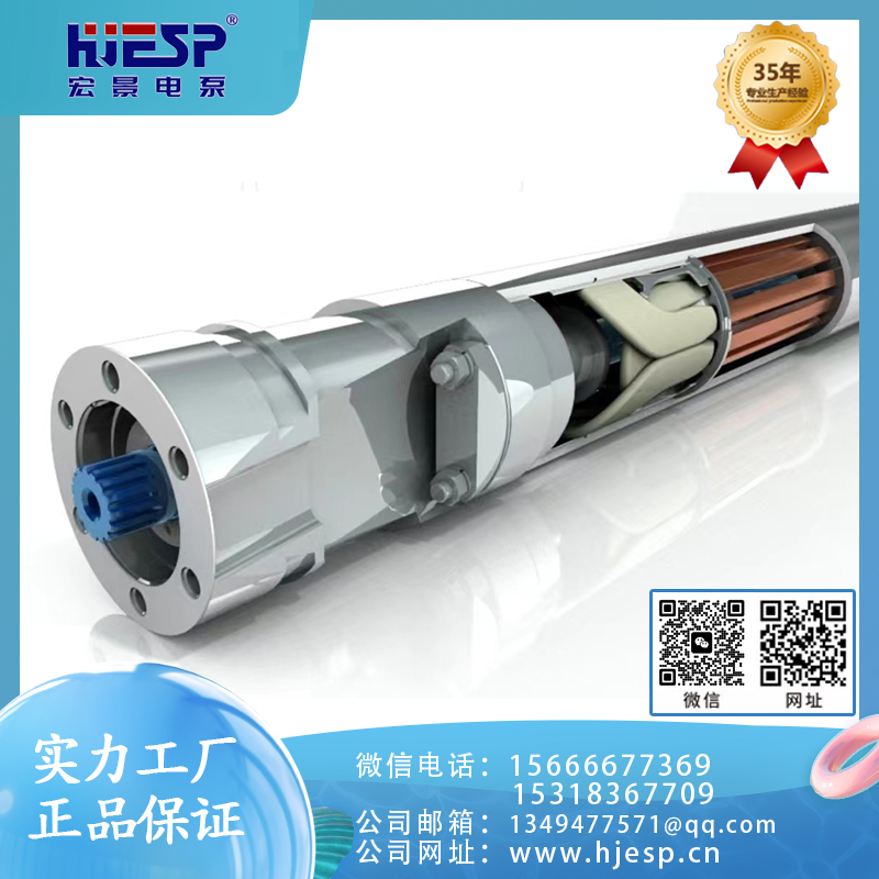 追求质量 永磁同步潜水泵  精品推荐