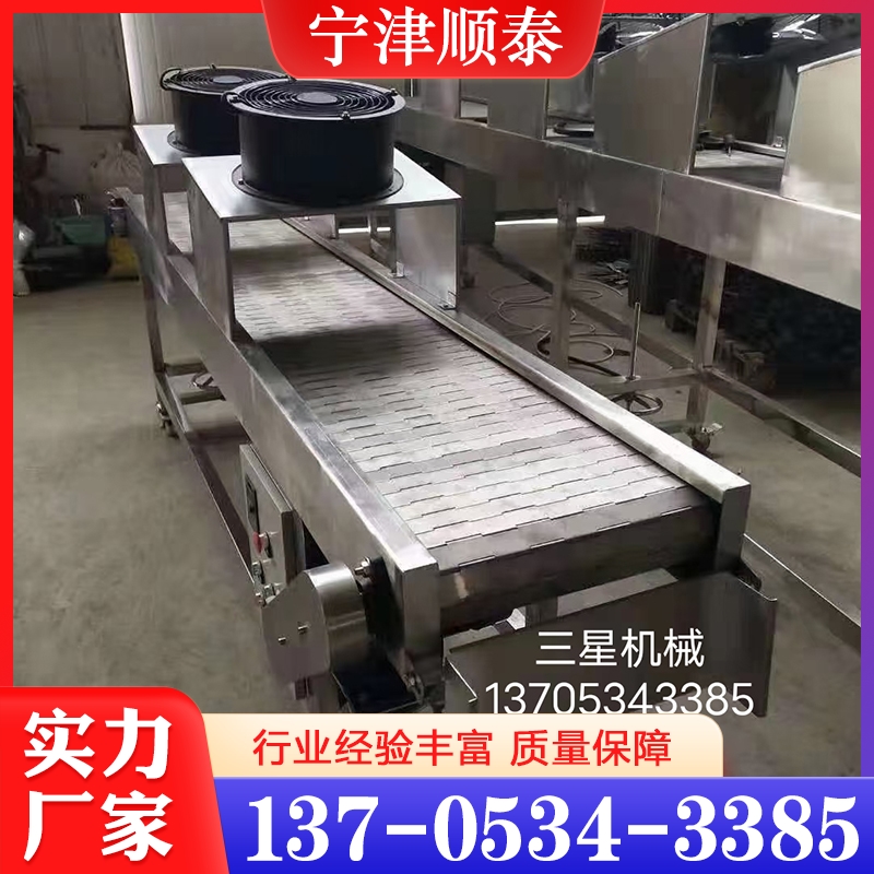 网链输送机  价格实惠 质量保障