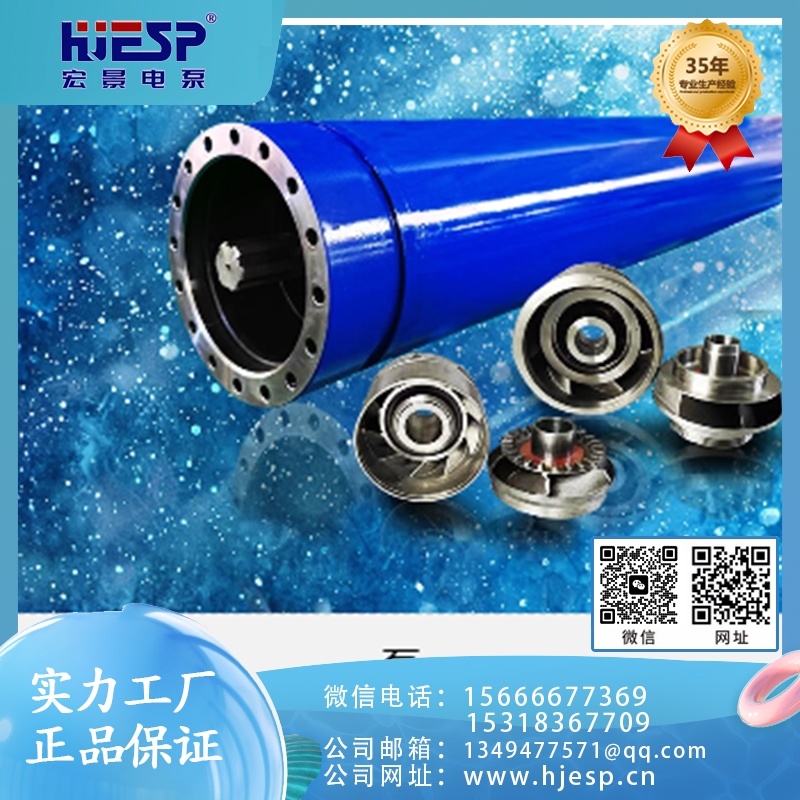 潜油电泵  追求质量 精品推荐