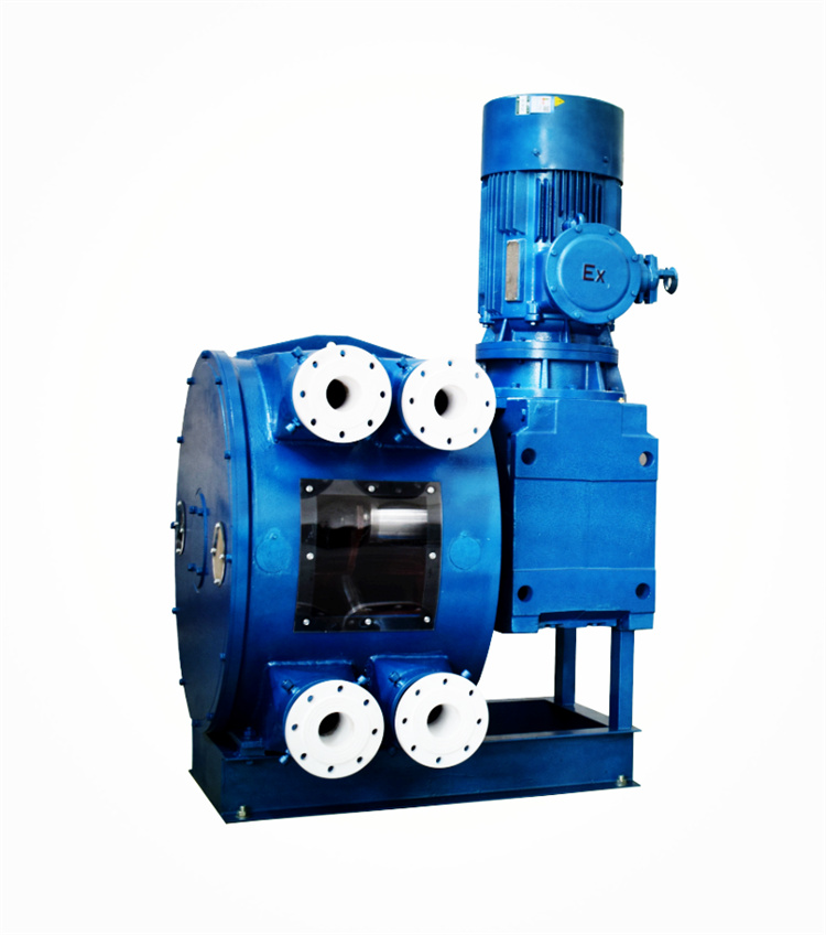 立式双管软管泵 厂家现货销售 乡源泵业 批发充足货源