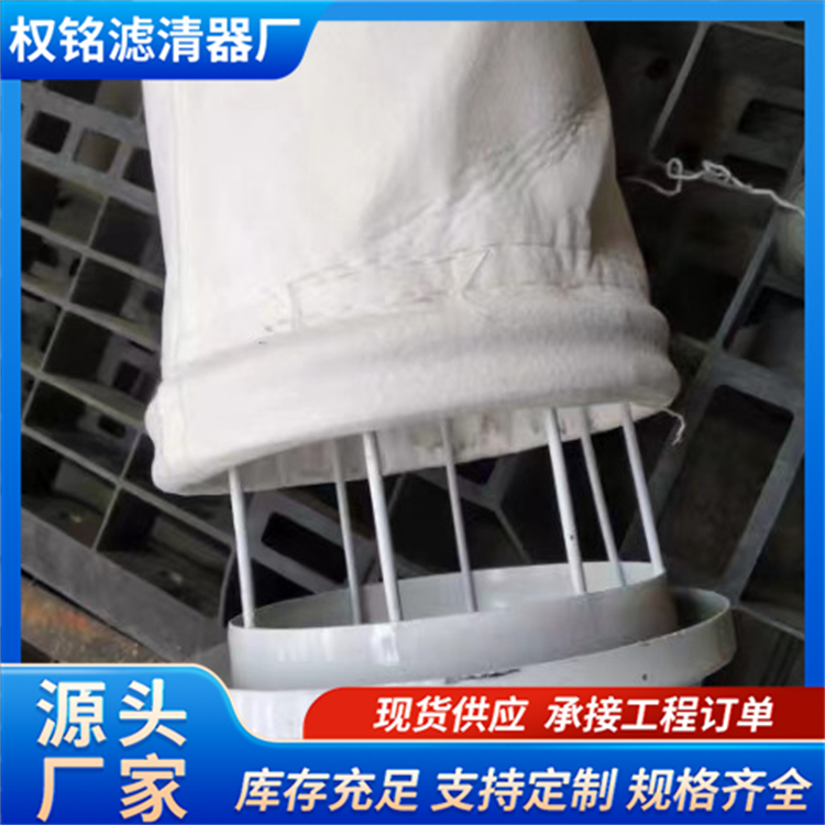 权铭 工业车间布袋除尘器 脉冲除尘器 大小型可定制 净化设备