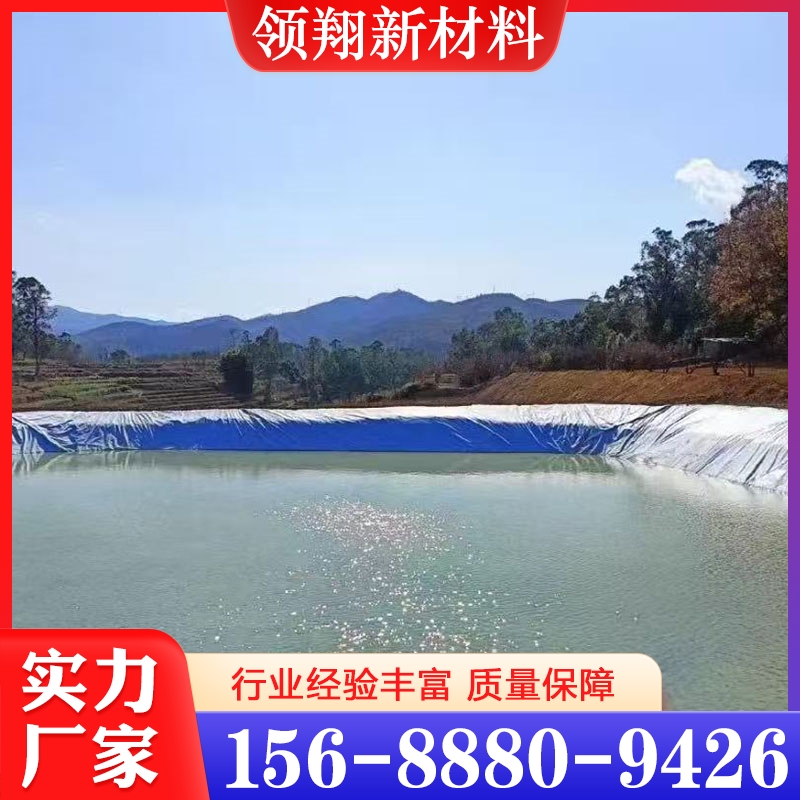 景观湖人工湖防渗材料HDPE土工膜生产厂家一手货源支持开发票