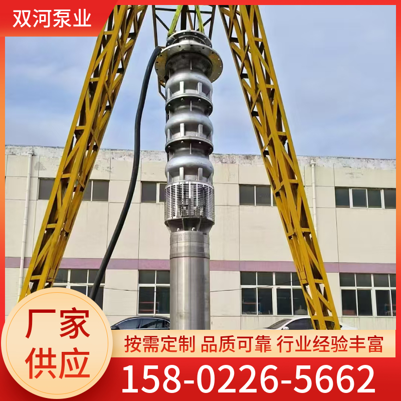 双河泵业 不锈钢潜水泵 耐酸碱工业水泵 支持定制