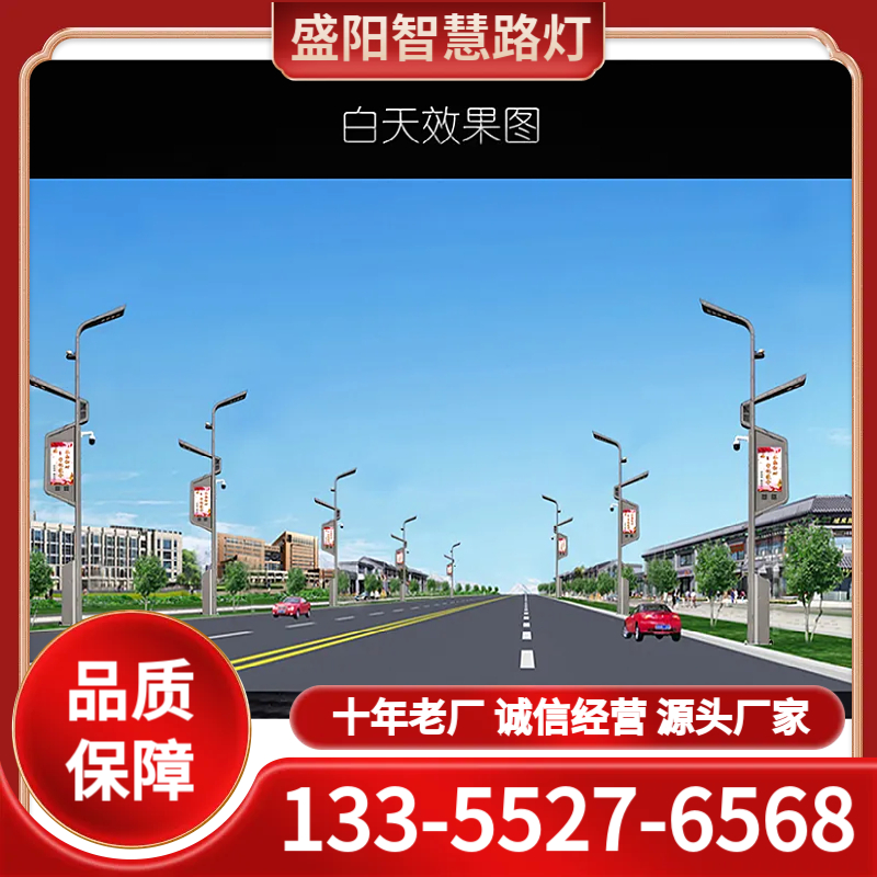 智慧路灯 诚信经营 品质保障
