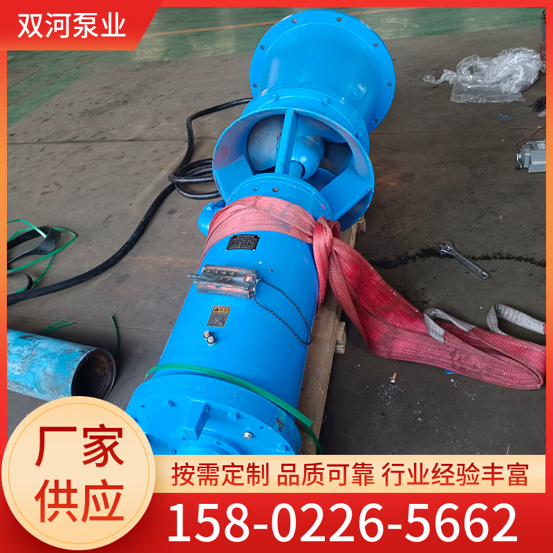 中吸式轴流泵 大功率 耐磨耐用 多规格潜水泵 低噪音