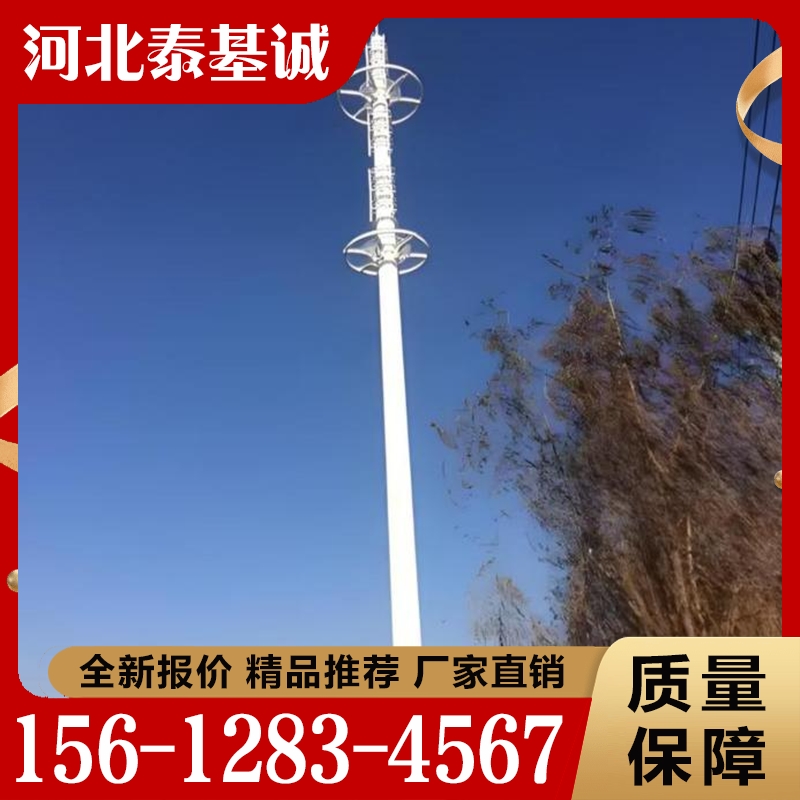 单管塔  质量保障 价格公道 精品推荐