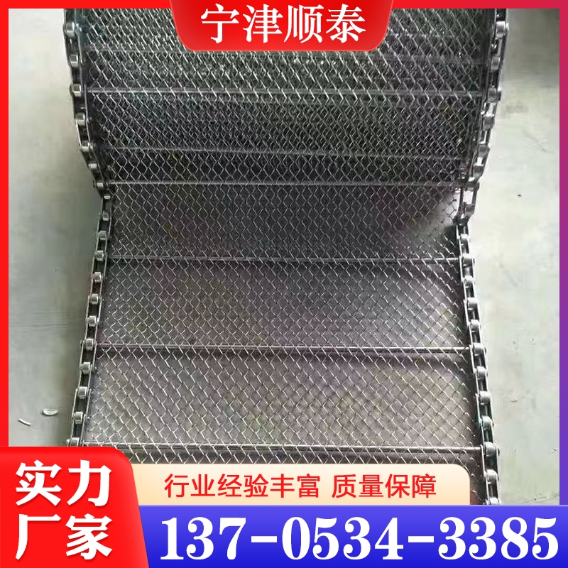 网链输送机  经验丰富 大量库存