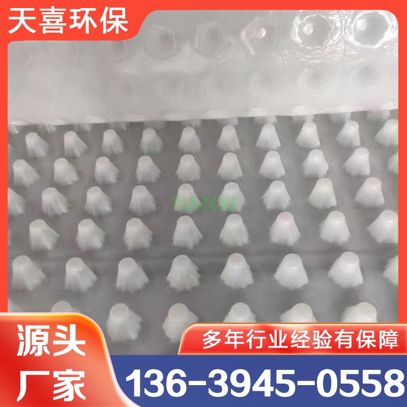 排水板 厂家供应 欢迎咨询