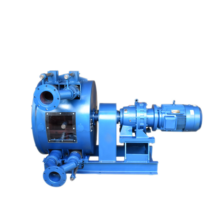 大流量双管软管泵 挤压泵 高质量产品 性能稳定 乡源泵业