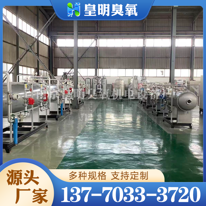 大型臭氧发生器 污水处理 烟气脱硫脱硝 化工漂白市政供水