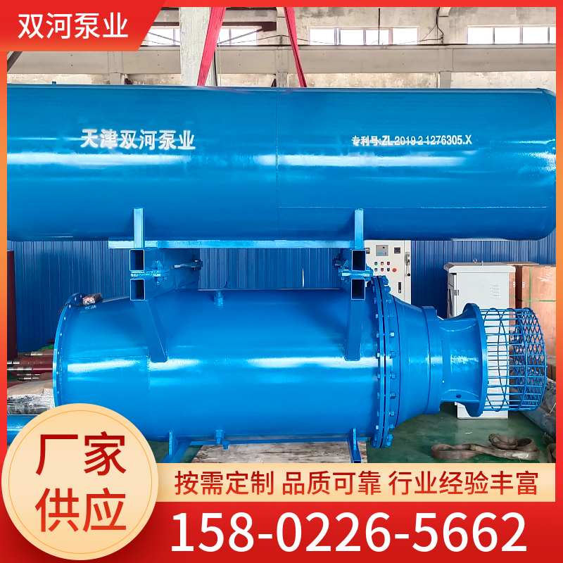 双河泵业 水产养殖 防汛排涝 工程排水雪橇式潜水轴流泵