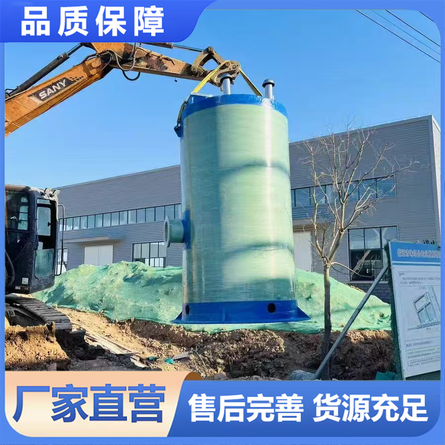 一体化预制泵站 工厂预制整体交付泵站 缩短工期质量可控 厂家直供支持定制