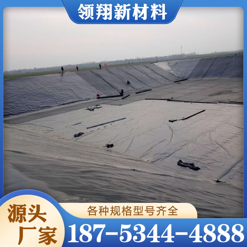 防渗土工膜 诚信商家选择 品质无忧