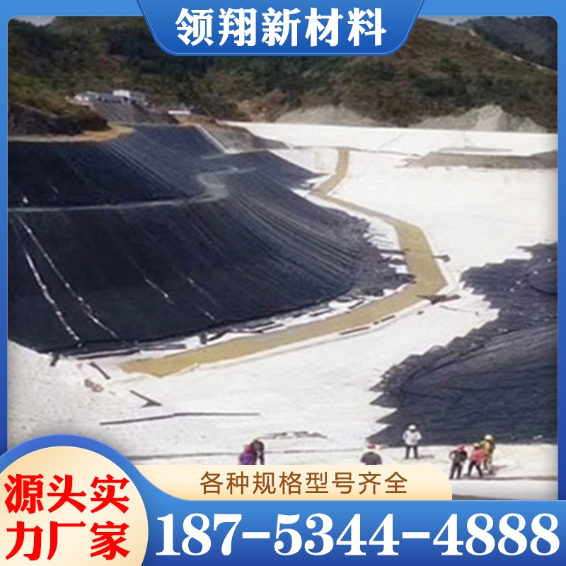 hdpe土工膜 诚信商家选择 品质无忧