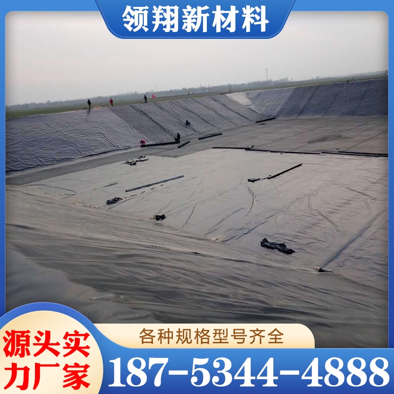 大型蓄水池 防渗土工膜 诚信商家选择 品质无忧