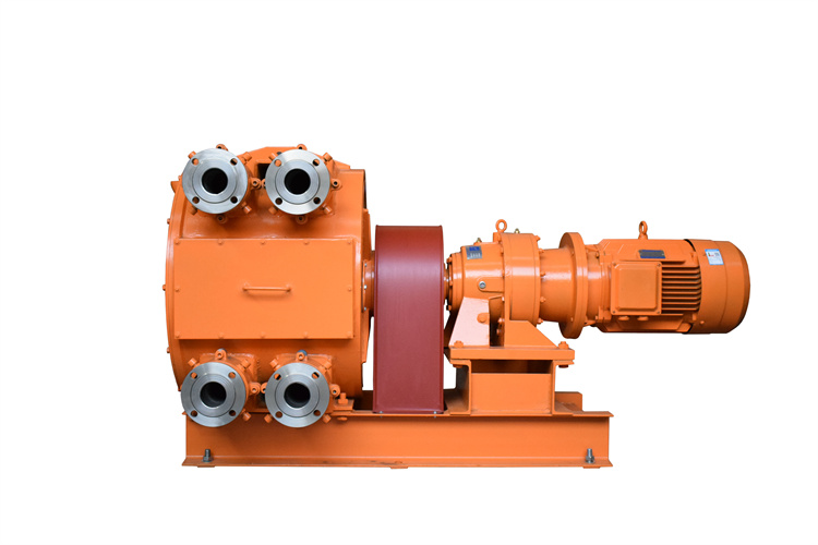 大流量双管软管泵 挤压泵 厂家现货销售 乡源泵业 批发充足货源