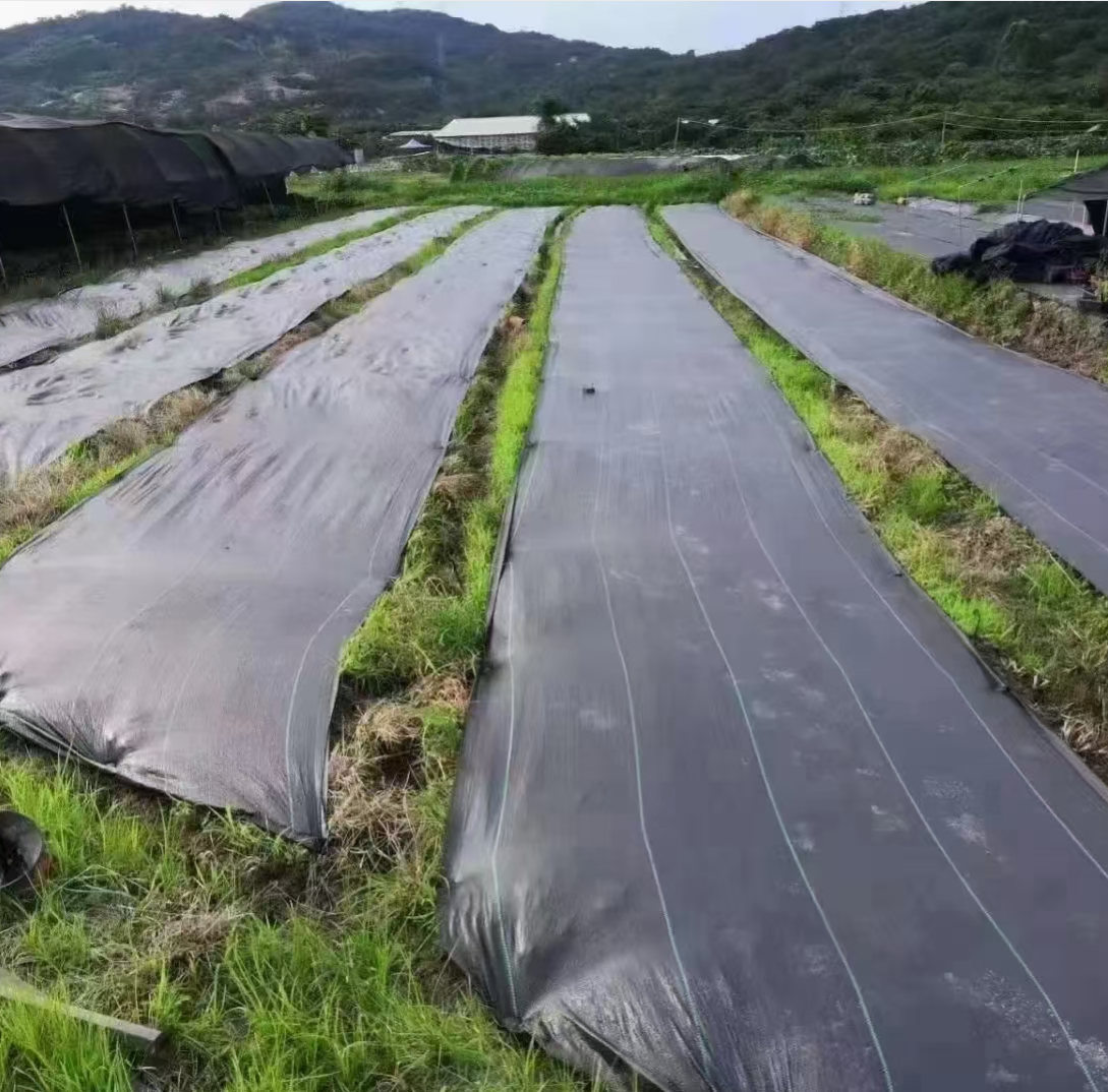 新料防草布除草布抗老化农用园艺果园果树地布大棚铺地透气保湿