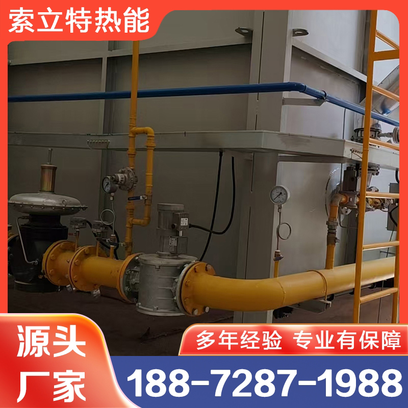 索立特 台车式燃气炉 行业经验丰富 质量保障