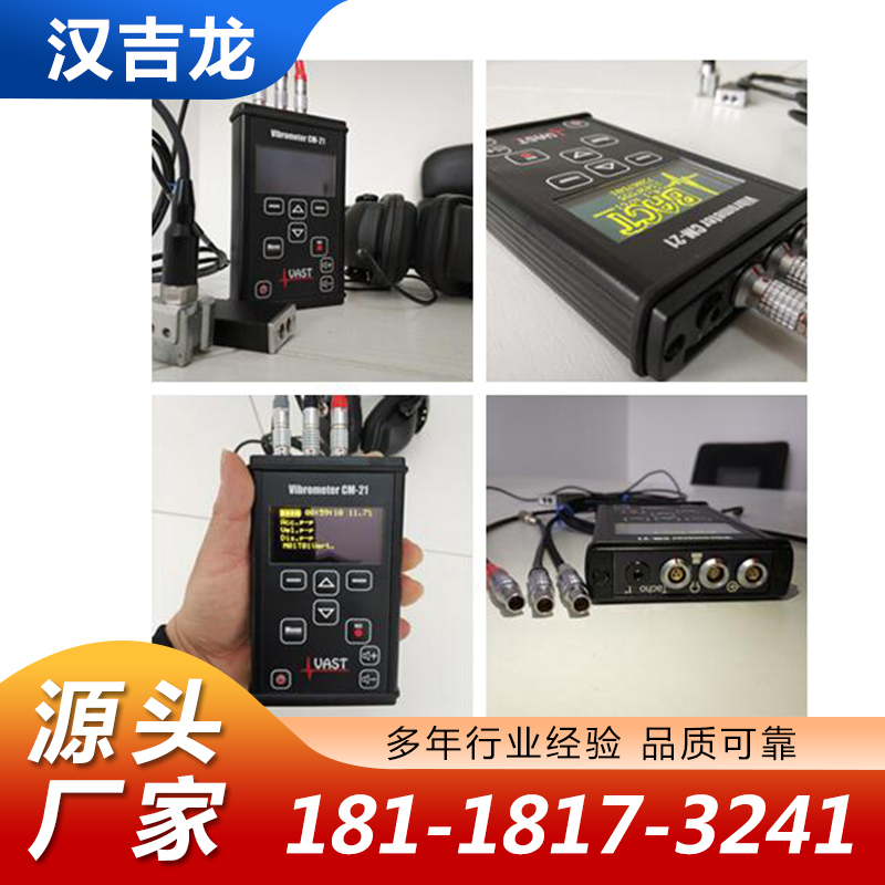振动分析仪源头厂家确保产品质量