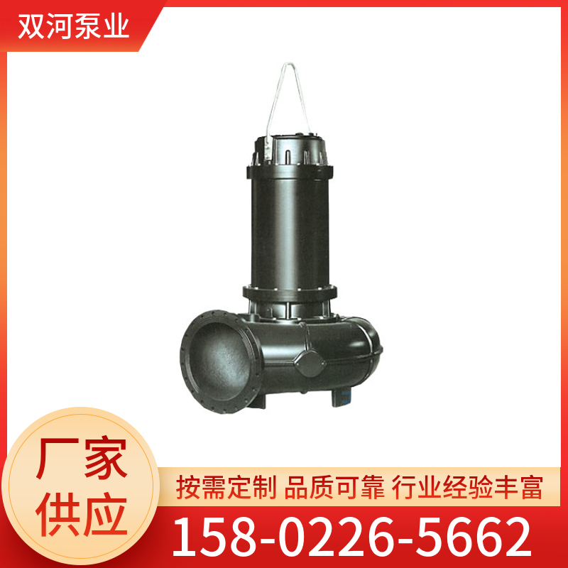 浮筒式潜污泵 污水池 矿坑 不堵塞 铸铁 不锈钢 大功率