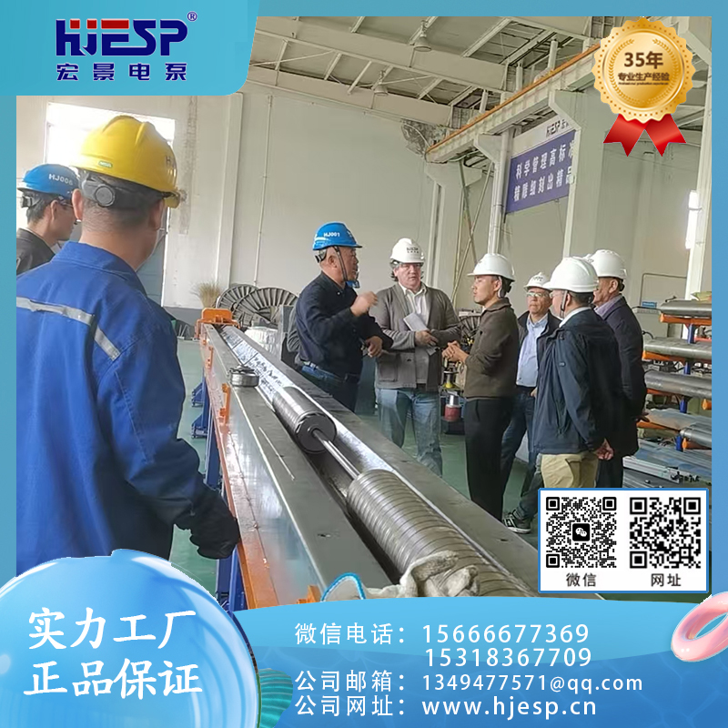 价格实惠 永磁同步潜水泵  质量保障