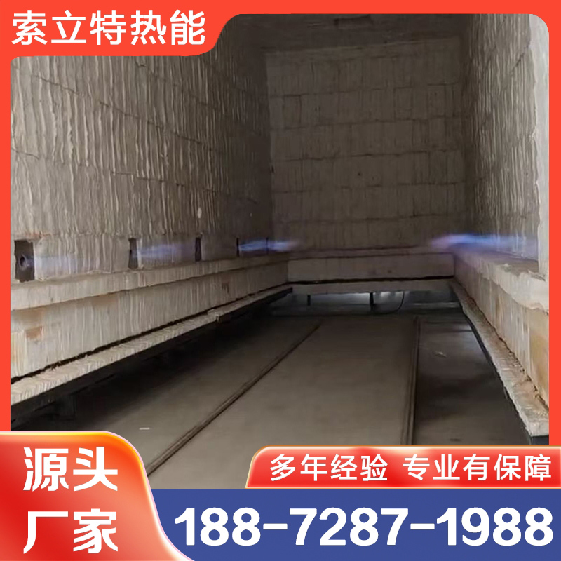 台车式燃气炉 索立特 厂家供应 欢迎咨询