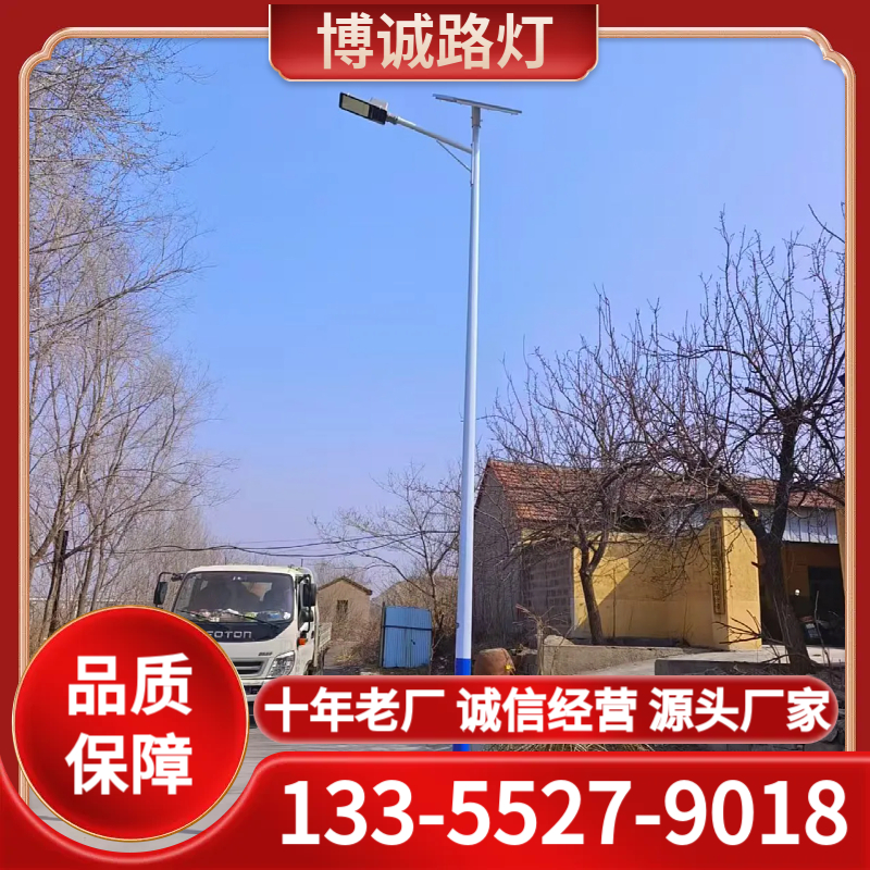 6米太阳能路灯 路灯厂家