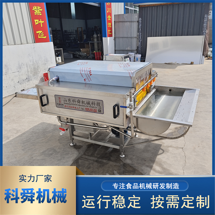 粽叶清洗机厂家 支持定制
