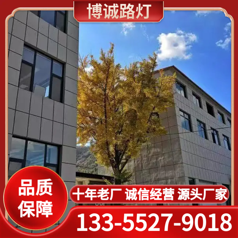 太阳能路灯厂家 诚信经营 源头厂家