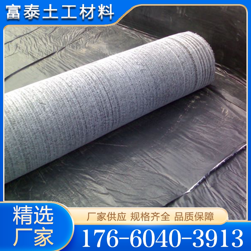 膨润土防水毯 精品推荐 大量批发