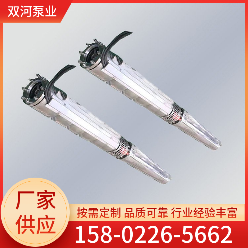 小直径高扬程深井泵 大流量河道取水用泵 支持定制 双河泵业